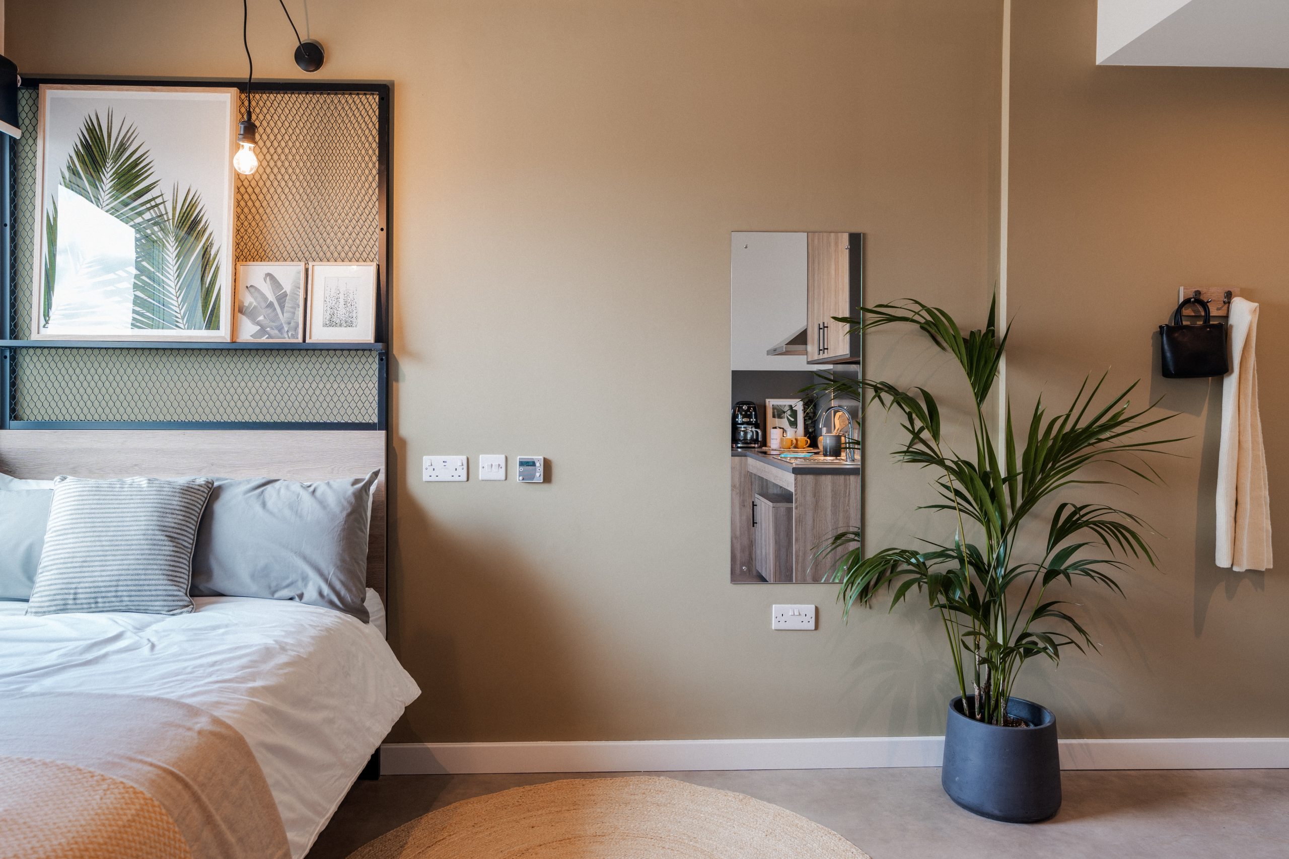 Student room with a plant