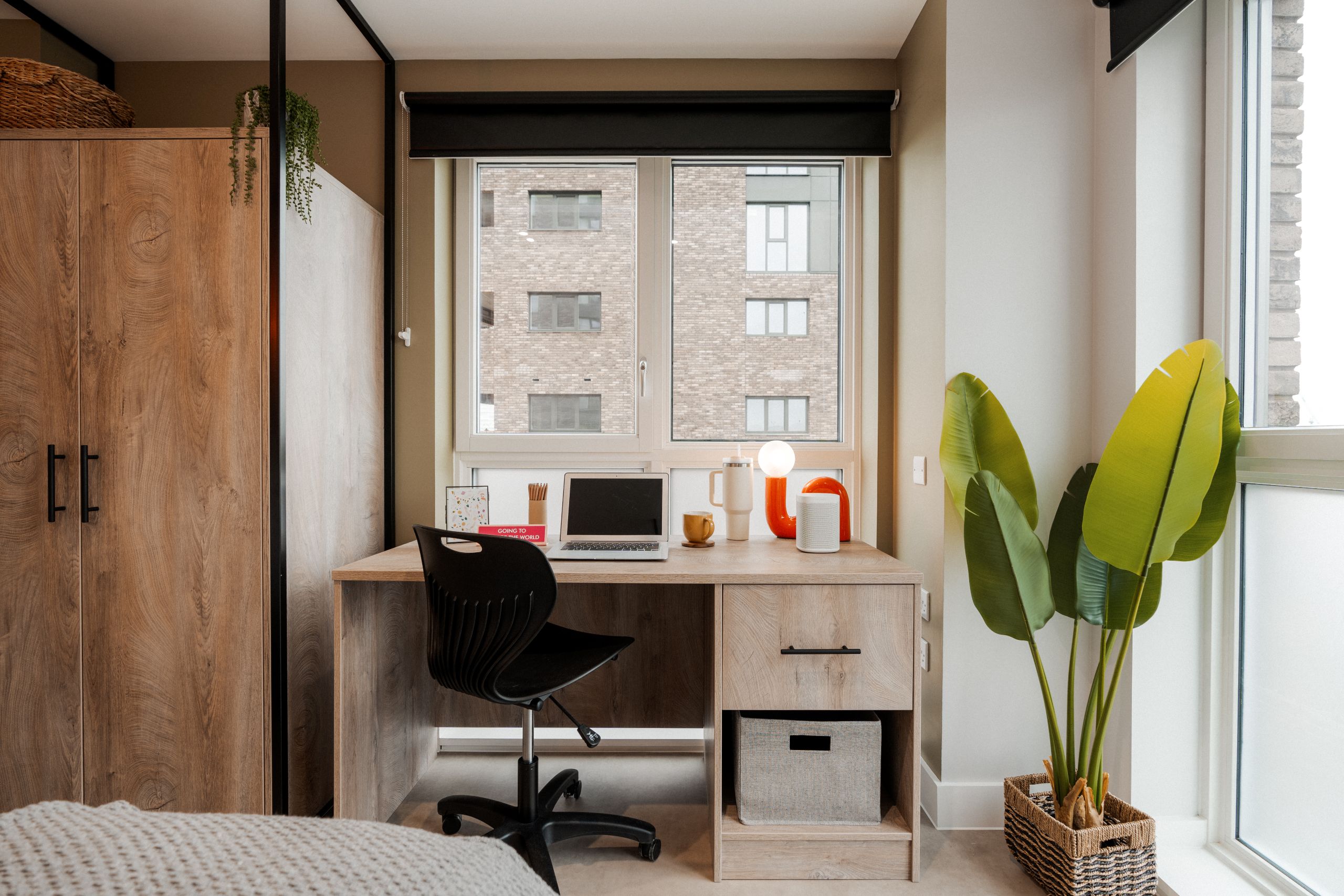 Luxury student accommodation with a desk, chair, wardrobe and plant
