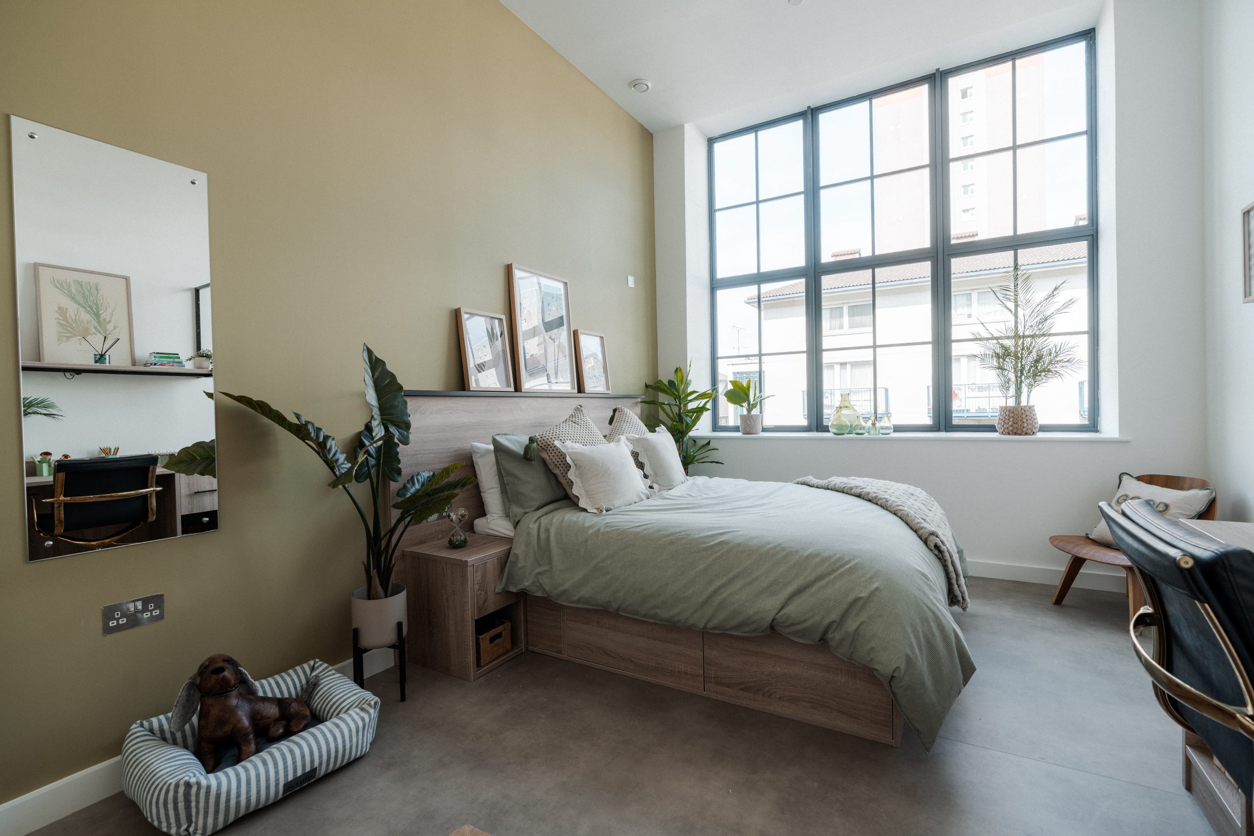 Dog friendly student accommodation room with dog bed, green bedding and large window