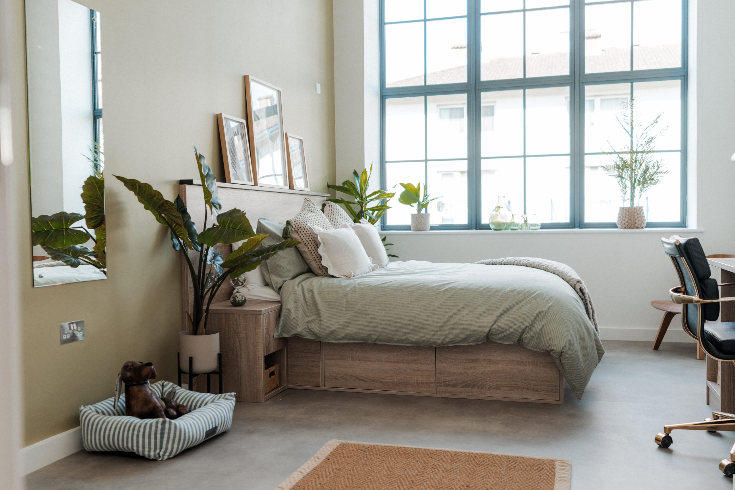 Pet friendly student accommodation room in London. Dog soft toy sits in a dog bed, next to a large bed and big windows.