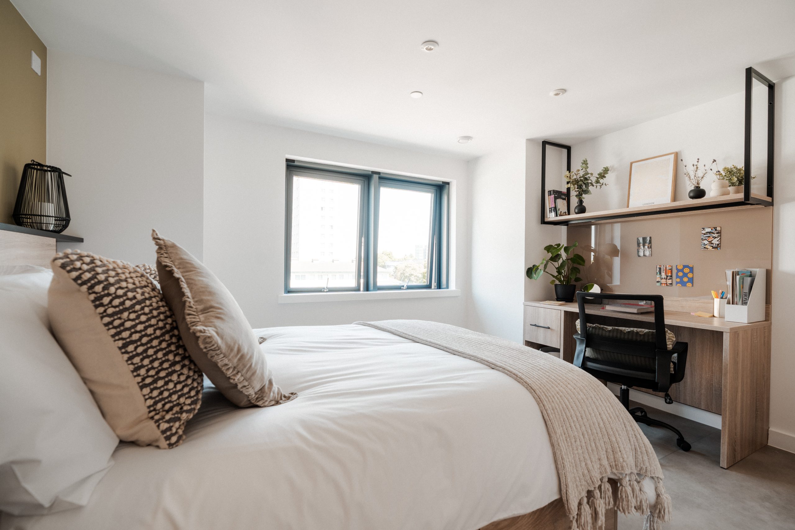 YourTRIBE Deptford Premium 1