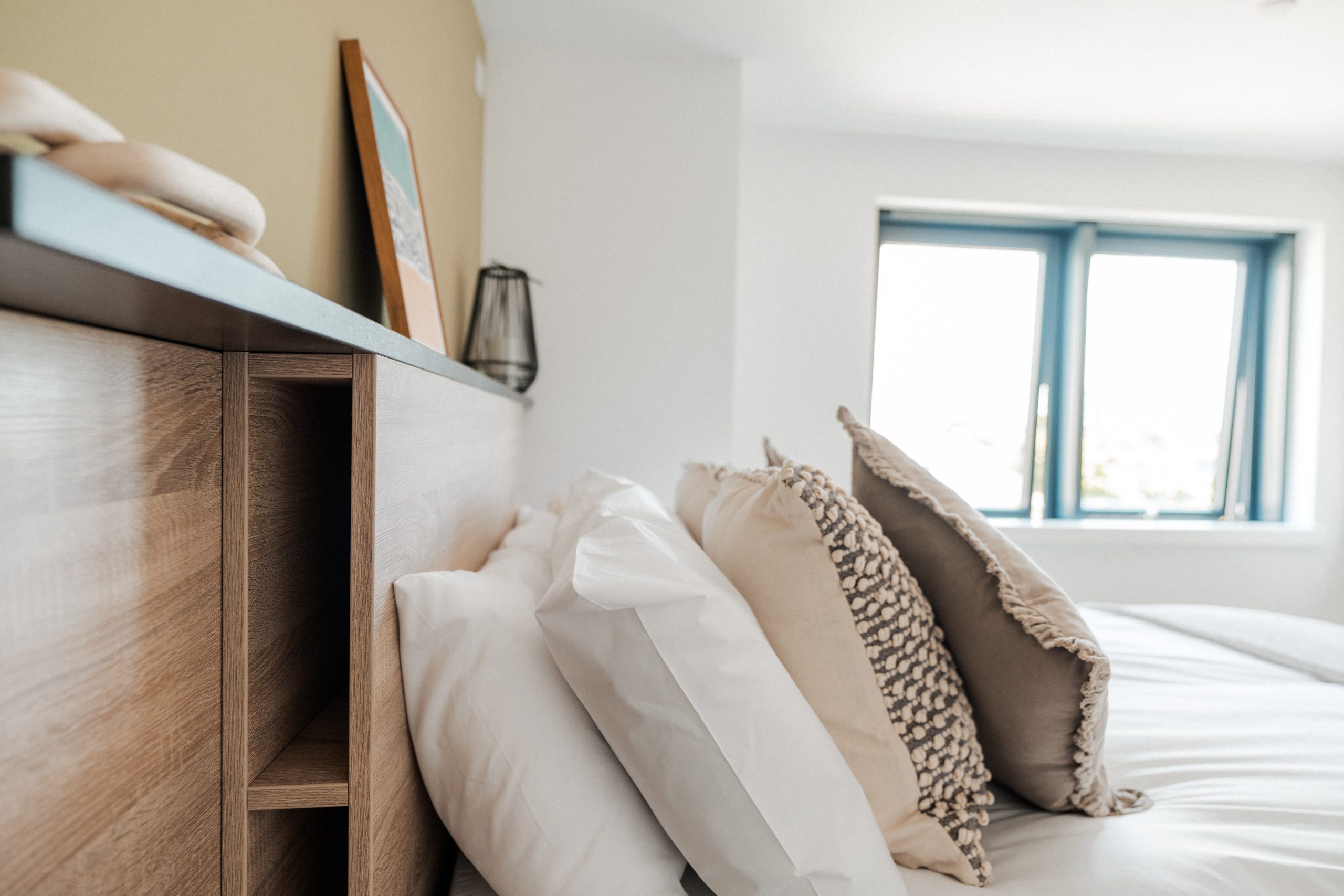 YourTRIBE Deptford Premium 5