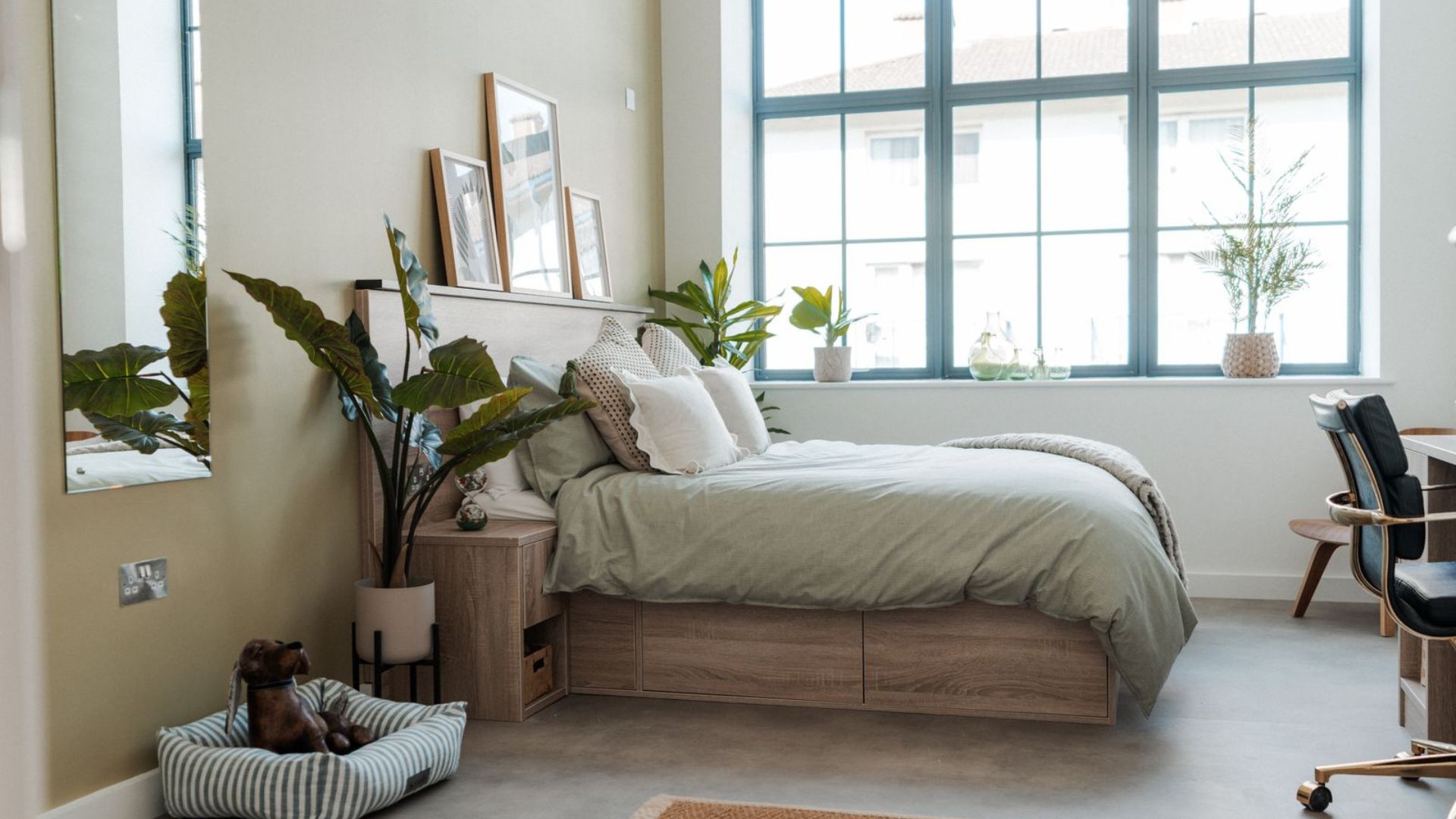 Pet friendly student apartment with dog bed, large bed and desk area