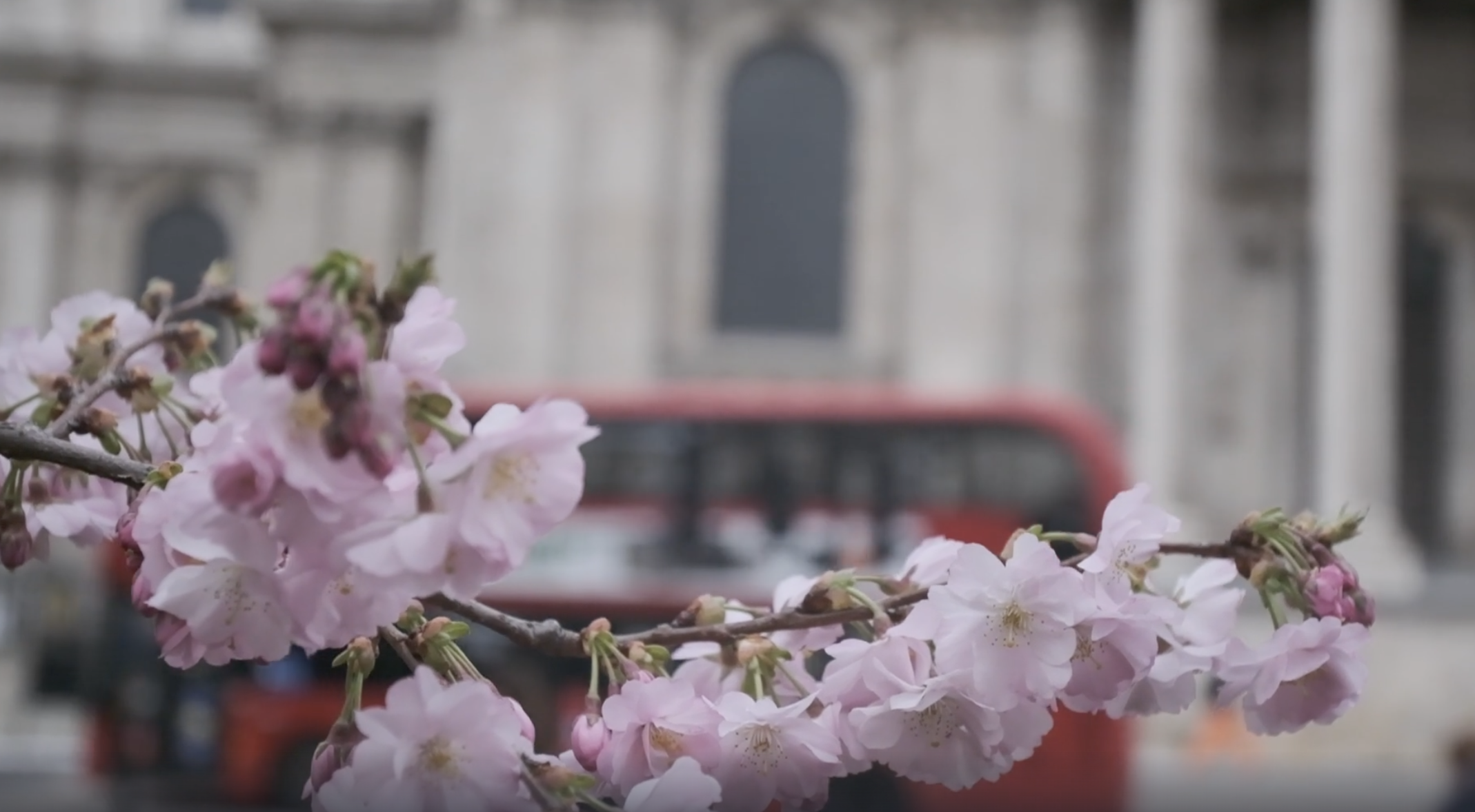 March Events at YourTRIBE