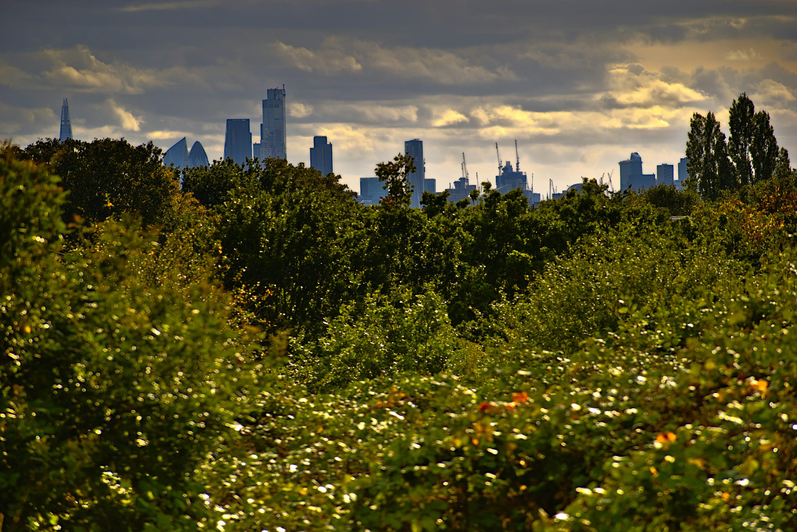 Walthamstow View